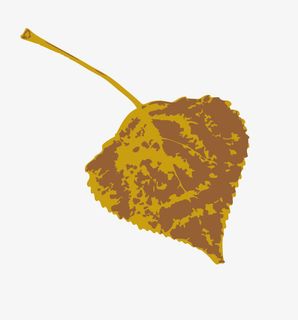 树叶免抠 树叶免抠