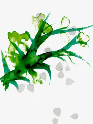 手绘绿叶草装饰免抠