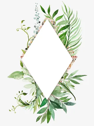 手绘绿色植物叶子边框免抠