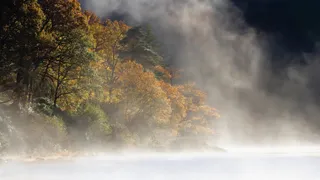 湖面烟雾树木雾气免抠