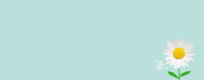 清新花朵背景高清