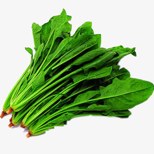 营养菠菜免抠装饰植物元素