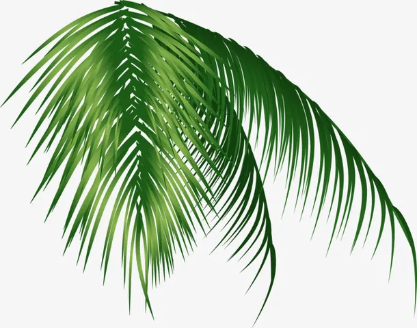 夏天 元材 夏 立夏 暑 元素免抠