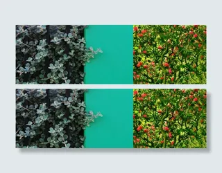 门户网站banner创意设计