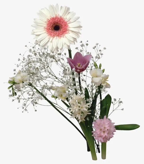 红心白色小菊花免抠