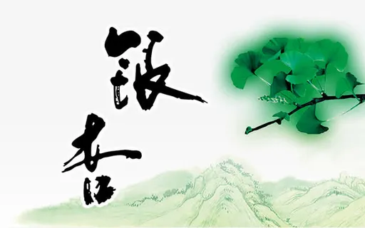 绿色银杏树叶免抠