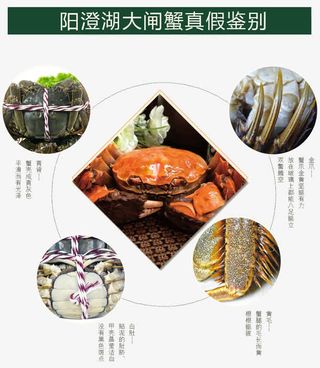 大闸蟹详情页说明免抠