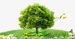 校园文化展板海报设计之环保免抠装饰植物元素