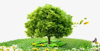 校园文化展板海报设计之环保免抠装饰植物元素