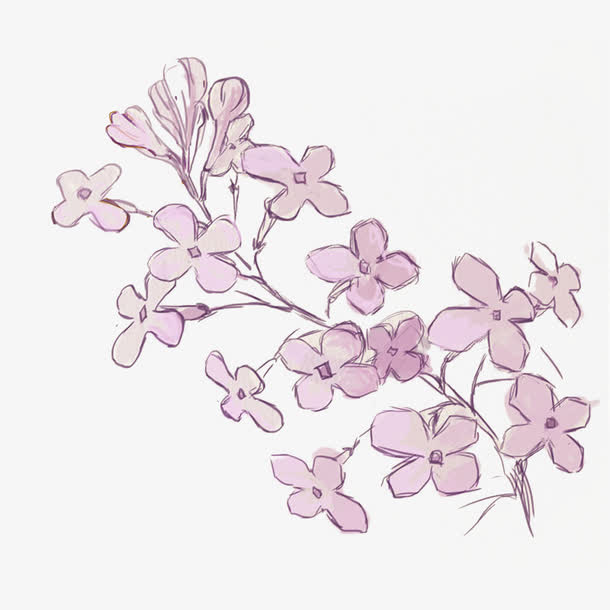 手绘紫色丁香花插画PNG免抠