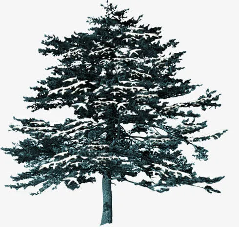 树木雪地模板图片免抠