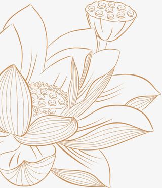 中秋节手绘荷花莲叶免抠