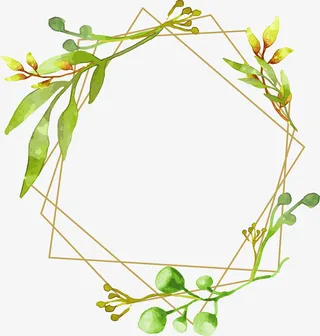 手绘树枝浪漫边框免抠