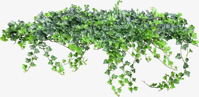 童话里爬山虎免抠
