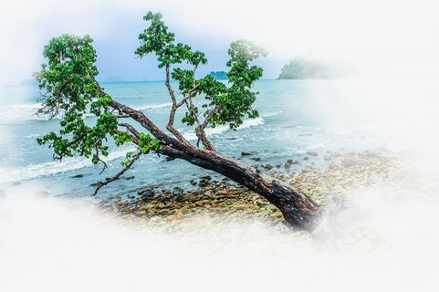 春天绿色山水一棵树免抠