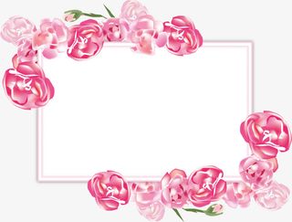 红色美丽花朵画框免抠