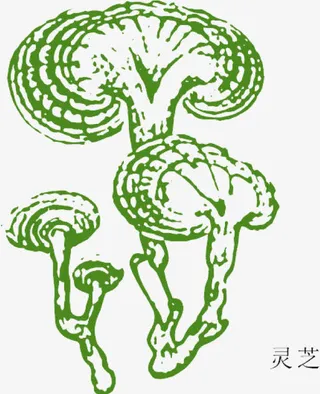 矢量中草药灵芝免抠