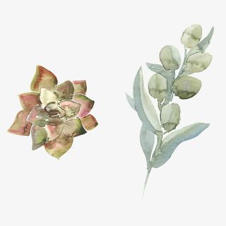 水彩植物绿色多肉免抠