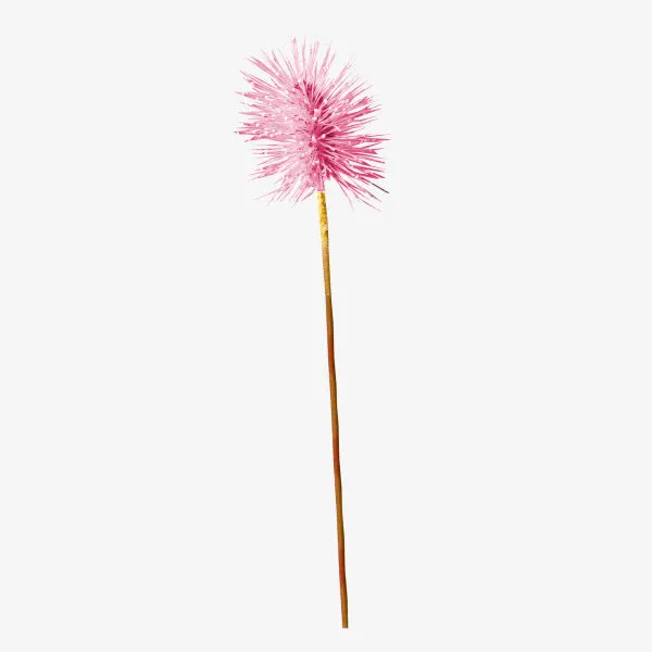 唯美鲜花免抠