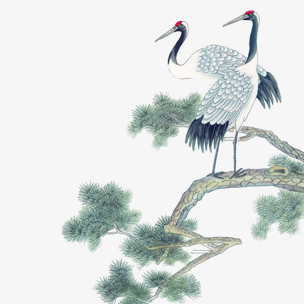 松树上的仙鹤免抠