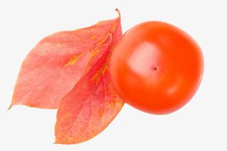 成熟的柿子图片免抠