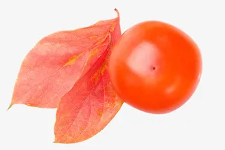 成熟的柿子图片免抠