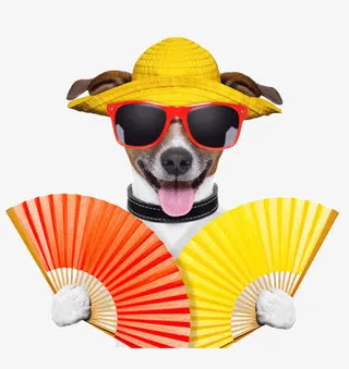 狗正在扇扇子免抠