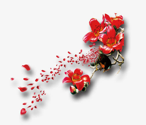 飘落的花朵免抠