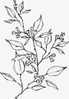 水墨植物元素06免抠