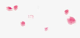 中国风花瓣免抠