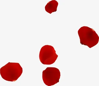 鲜花玫瑰花瓣装扮免抠