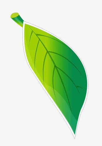 叶子免抠免抠
