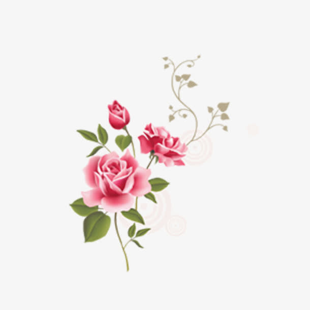 鲜花免抠