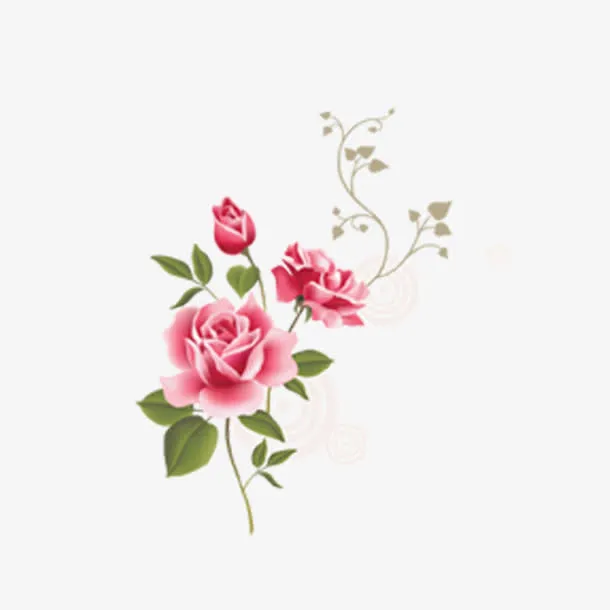 鲜花免抠