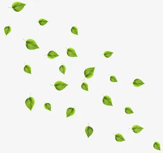 飘动的绿色树叶免抠