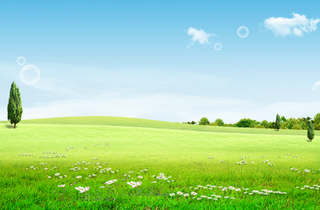 草地背景  小清新背景高清