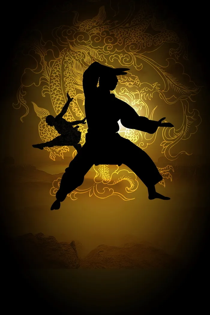简约中华武术习武高清