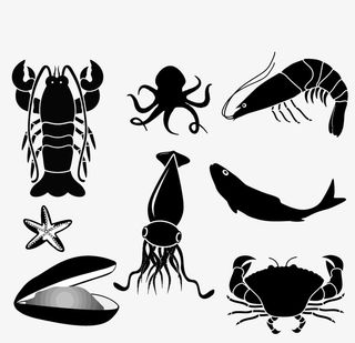 黑白动物素材免抠