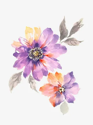 手绘水彩紫色花朵免抠装饰动物元素