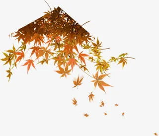 秋天唯美落叶美景免抠