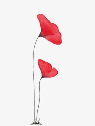 小红花免抠