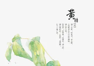 手绘中医中药素材免抠