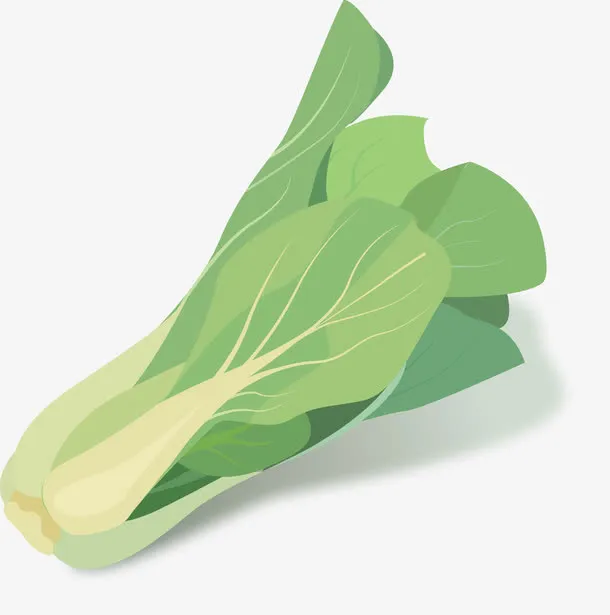手绘蔬菜矢量图免抠
