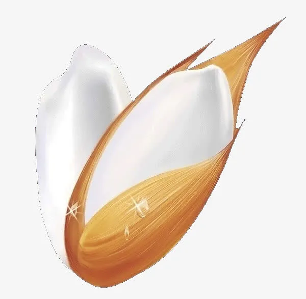 稻子免抠