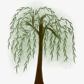 清明节柳树机组免抠