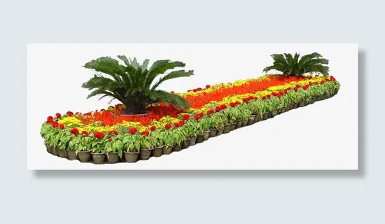 花圃花坛园艺免抠