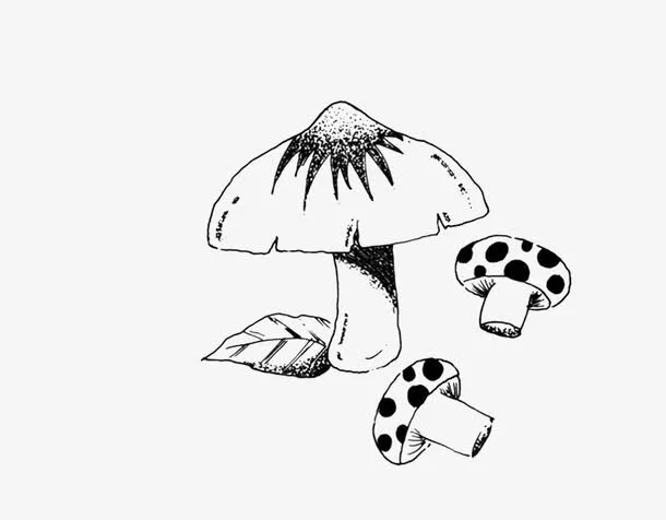 黑色简笔画免抠