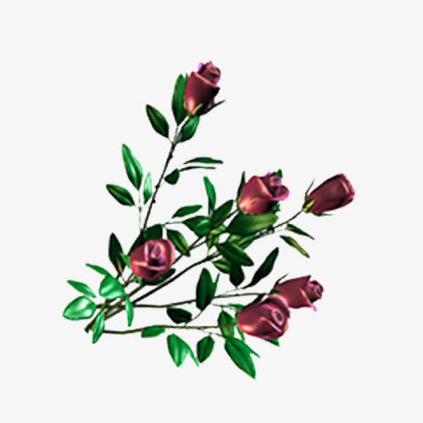 鲜花免抠