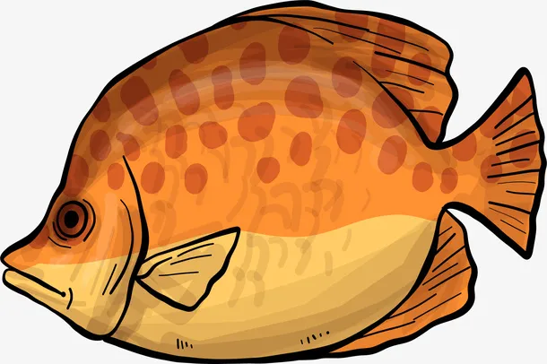 黄色深海鱼类多宝鱼免抠