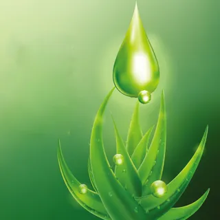 绿色芦荟化妆品海报背景素材高清